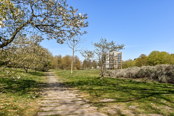 Medium property photo - Vorselaarstraat 38, 1066 NN Amsterdam